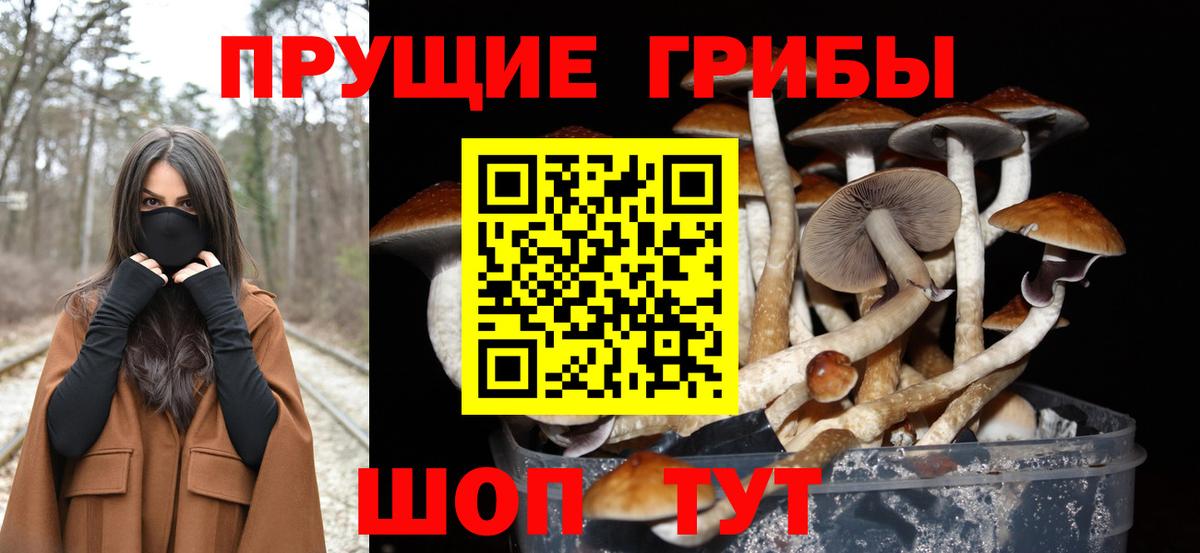 Галлюциногенные грибы Magic Shrooms Карачаевск